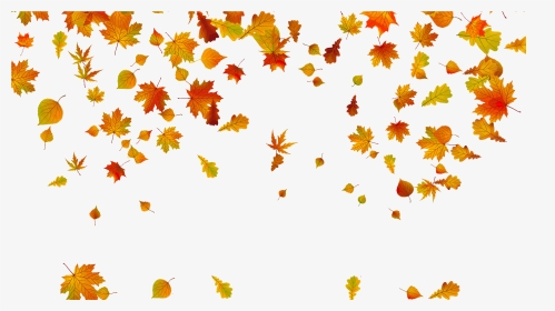 Transparent Background Fall Leaves Png, Png Download, Transparent PNG