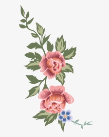 花卉 复古花朵手绘插画做旧牡丹花png - Rosa Glauca, Transparent Png, Transparent PNG