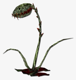 Pirates Online Wiki - Flytrap Plant Png, Transparent Png, Transparent PNG