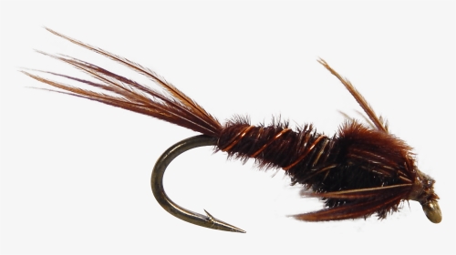 Artificial Fly Pheasant Tail Nymph Fly Fishing Fly - Artificial Fly, HD Png Download, Transparent PNG