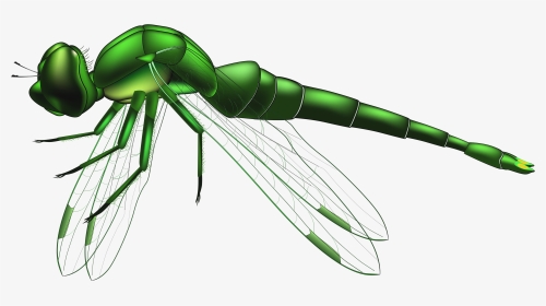 Green Dragon Fly Cliparts Clip Art Free Library Dragonfly - Dragonfly Clipart Png, Transparent Png, Transparent PNG