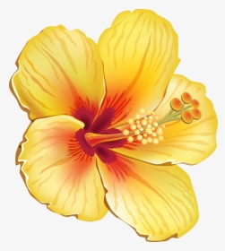 #hibiscus #flower #hawaiian #yellow #summer #tropical - Hawaiian Tropical Flowers Png, Transparent Png, Transparent PNG
