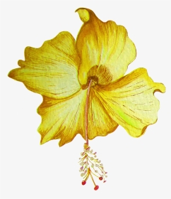Hand Painted Golden Hibiscus Flower Transparent Png - Portable Network Graphics, Png Download, Transparent PNG