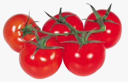 Transparent Background Clipart Tomatoes, HD Png Download, Transparent PNG