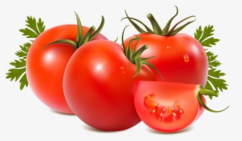 Tomato Png, Transparent Png, Transparent PNG