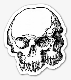 Double Skull Sticker - Skull, HD Png Download, Transparent PNG