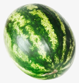 Watermelon - Png Images Water Melon, Transparent Png, Transparent PNG