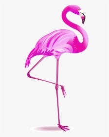 #flamingo - Flamingo Png, Transparent Png, Transparent PNG