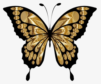 Yellow Green Butterfly Clipart, HD Png Download, Transparent PNG