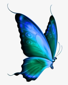Butterfly Png Hd, Transparent Png, Transparent PNG