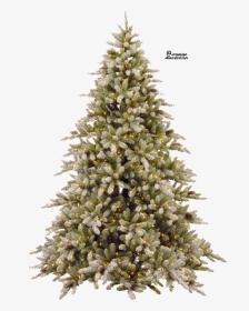 Christmas Tree Png - Snowy Christmas Tree Png, Transparent Png, Transparent PNG