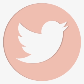 Transparent Twitter Logo Png Transparent Background - Circle Transparent Background Twitter Logo Png, Png Download, Transparent PNG