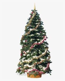 Christmas Tree Png, Transparent Png, Transparent PNG