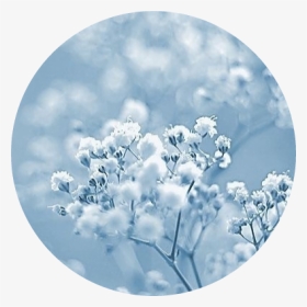 #blue #bluepastel #bambi #aesthetic #tumblr - Good Night Winter Flowers, HD Png Download, Transparent PNG