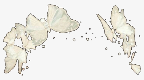 #butterfly #butterflies #crown #white #whitecrown #butterflycrown - White Butterfly Crown Png, Transparent Png, Transparent PNG