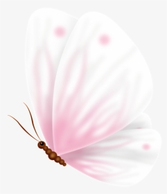 Pink Cute Sweet Butterfly Pass Transparent - Moth Orchid, HD Png Download, Transparent PNG