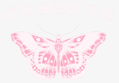 #itiswhatitis #pink #butterfly #quote #pinkaesthetic - Harry Styles Lockscreen Pink, HD Png Download, Transparent PNG