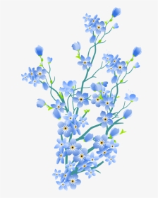 Forget Me Not Background, HD Png Download, Transparent PNG