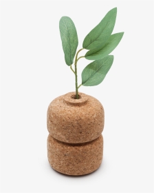 Cork Bud Double Vase - Compendiumstore Com Au Object Png, Transparent Png, Transparent PNG