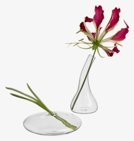 Bud Vases, HD Png Download, Transparent PNG