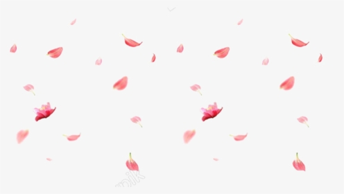 Rose Petals Png Fallin, Transparent Png, Transparent PNG