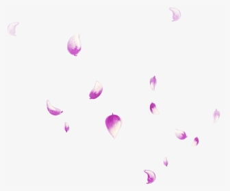Petal Falling Transprent Png Free Download Pink - Rose, Transparent Png, Transparent PNG