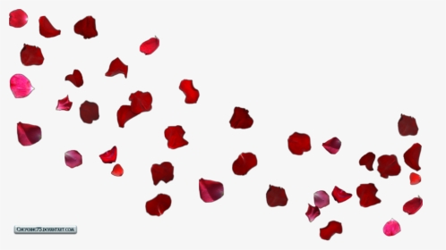 Free Wedding Falling Rose Petals Animation Background - Rose Petals Blowing In The Wind, HD Png Download, Transparent PNG