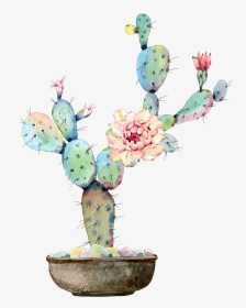 #cactus #flower #watercolor #art #desert - Cactus And Flowers Water Color, HD Png Download, Transparent PNG