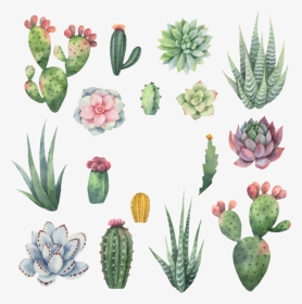 #cactus #watercolor, HD Png Download, Transparent PNG