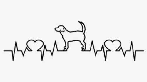 #heartbeat #doggy #dog #pets - Heart Cat Pulse, HD Png Download, Transparent PNG