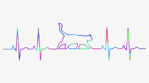 #freetoedit Heartbeat Cat - Plot, HD Png Download, Transparent PNG