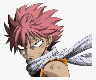 Black And White Stock Fairy Tail Drawing - Drawing Anime Natsu Fairy Tail, HD Png Download, Transparent PNG