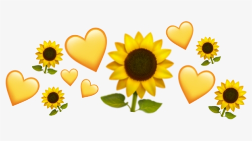 #crown#heart #эмоджи - Sunflower, HD Png Download, Transparent PNG