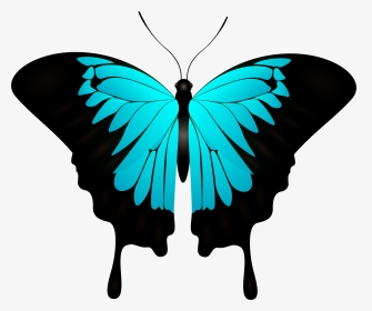 Blue Butterfly Decorative Transparent Image Clipart, HD Png Download, Transparent PNG