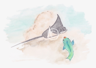 Illustration Of Eagle Ray And Parrotfish From The Book - Stingray, HD Png Download, Transparent PNG