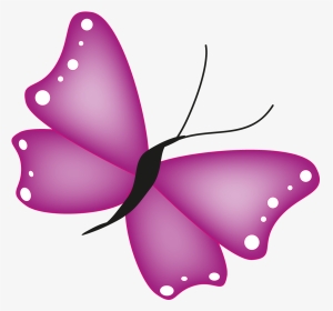 Papillon Illustration, HD Png Download, Transparent PNG