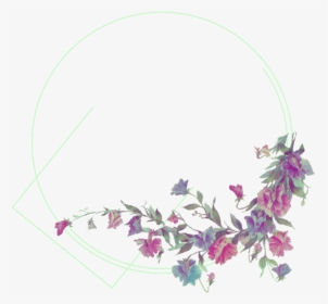 #verde #flores #flowers #flor #green Circle #marco - Rose, HD Png Download, Transparent PNG