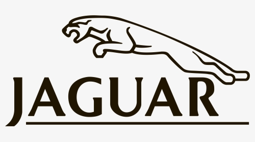 Sporty retro car jaguar e-type drawn sketch Vector Image