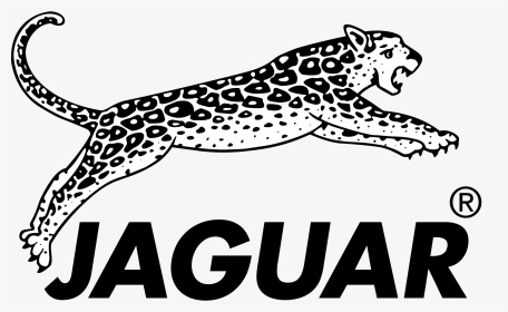 Jaguar Logo Hairdressing - Logo Jaguar Hair Cut, HD Png Download, Transparent PNG