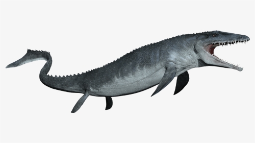 Mosasaurus Detail Header - Mosasaurus Png, Transparent Png, Transparent PNG