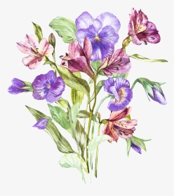 Alstroemeria Flower Drawing, HD Png Download, Transparent PNG