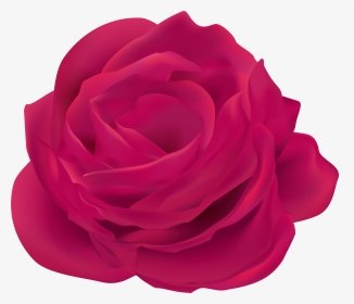 Pink Rose Flower Clip Art Image​, HD Png Download, Transparent PNG