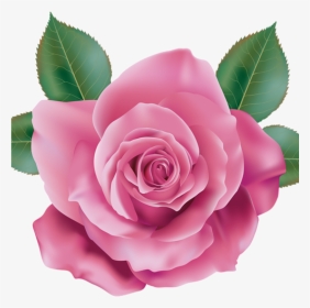 Pink Rose Clipart Rose Clipart Pink Rose Transparent - Rose Pink Flower Design, HD Png Download, Transparent PNG