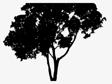 Tree Vector Png - Tree Silhouette Png, Transparent Png, Transparent PNG
