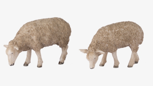 G Scale Grazing Sheep - Sheep, HD Png Download, Transparent PNG