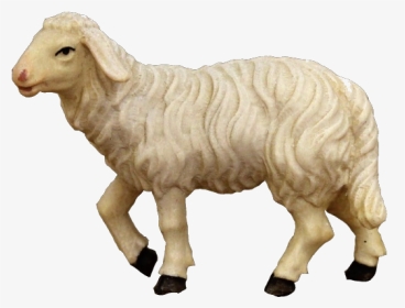 Sheep, HD Png Download, Transparent PNG