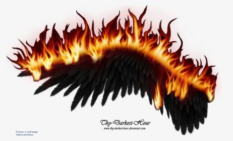 Black Wings On Fire, HD Png Download, Transparent PNG