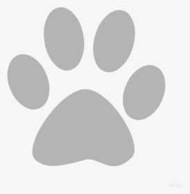 Transparent Cat Paw Print, HD Png Download, Transparent PNG