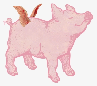 Merry Bright Christmas Pigs - Pig With Wings Transparent, HD Png Download, Transparent PNG