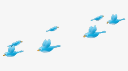 #mac #birdfilter #blue #tumblr #apple #birdcrown #heartcrown - Blue Bird Crown Png, Transparent Png, Transparent PNG